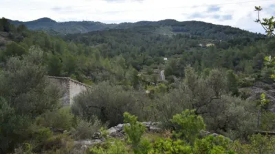 Rustic Finca in Camí de Nivera photo 2