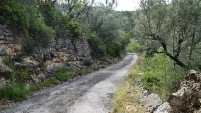 Rustic Finca in Camí de Nivera photo 30