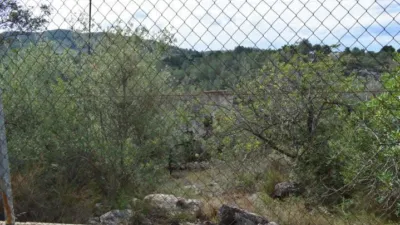 Rustic Finca in Camí de Nivera photo 6