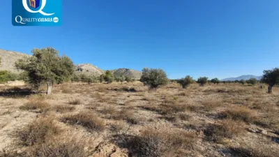 Terreno en venta en Elda - Vista 3