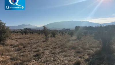 Terreno en venta en Elda - Vista 4