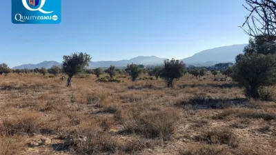 Terreno en venta en Elda - Més