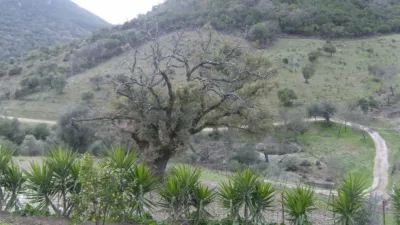 Rustic Finca in Benaocaz photo 12