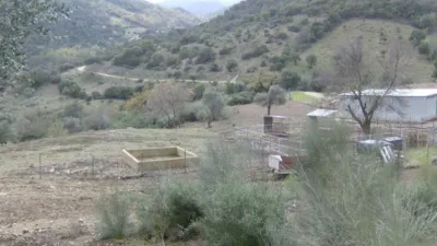 Rustic Finca in Benaocaz photo 15