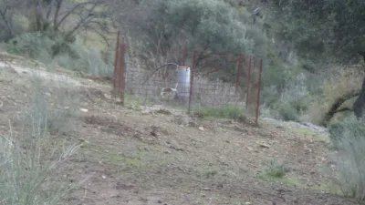 Rustic Finca in Benaocaz photo 16