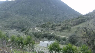 Rustic Finca in Benaocaz photo 9