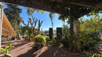 Finca rústica en Crevillent photo 23