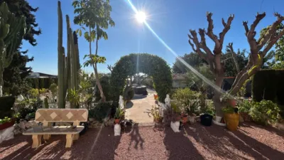 Finca rústica en venta en Crevillent - Vista 3