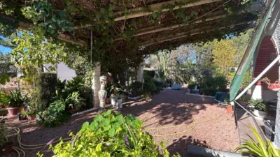 Finca rústica en venta en Crevillent - Vista 4