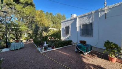Finca rústica en venta en Crevillent - Vista 5