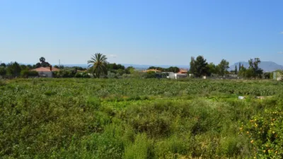 Chalet in Campillos photo 9