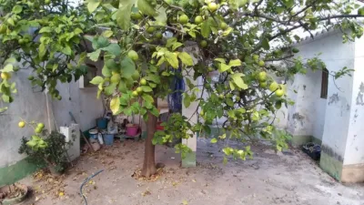 House for sale in Sierra de Yeguas photo 27