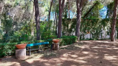 Chalet in Los Pinares photo 18