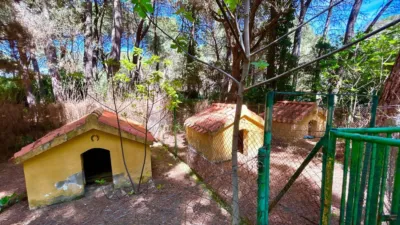 Chalet in Los Pinares photo 20