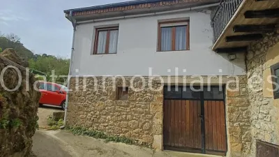 House in Valle de Mena photo 28