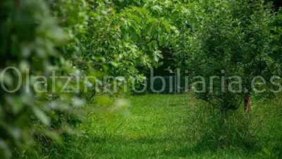 Rustic Finca in Mercadillo photo 21