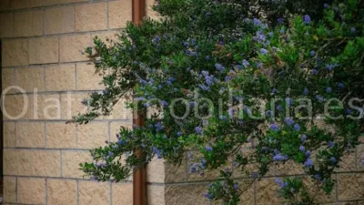 Rustic Finca in Mercadillo photo 23