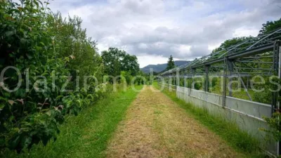 Rustic Finca in Mercadillo photo 4