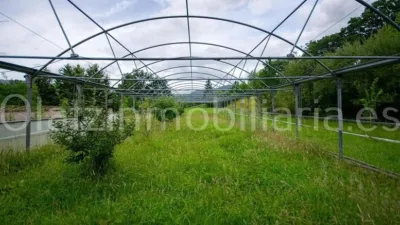Rustic Finca in Mercadillo photo 6