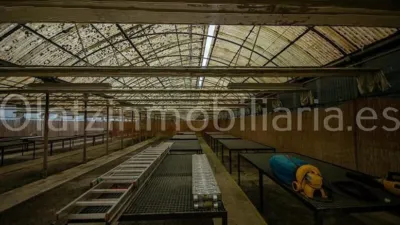 Rustic Finca in Mercadillo photo 9