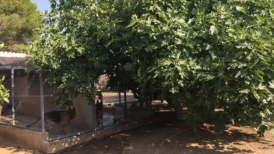 Chalet on Carrer de Roquetes als Reguers photo 30