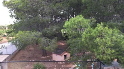 Chalet on Carrer de Roquetes als Reguers photo 40