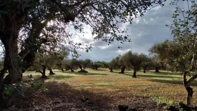 Rustic Finca in Parellades photo 15