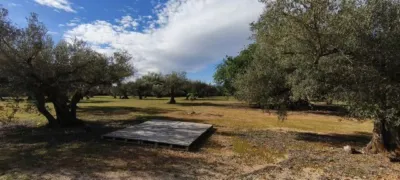 Rustic Finca in Parellades photo 24