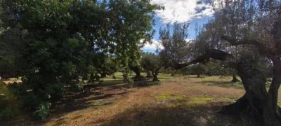 Rustic Finca in Parellades photo 25