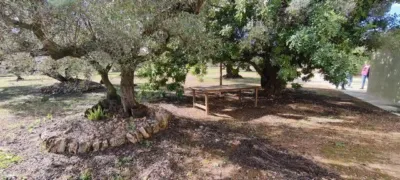 Rustic Finca in Parellades photo 30