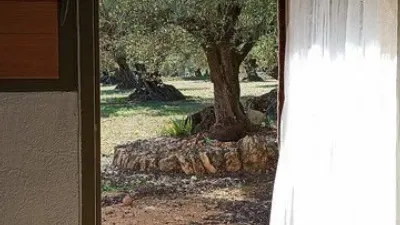 Rustic Finca in Parellades photo 7