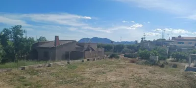 Rustic Finca in El Moco photo 2