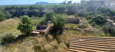 Rustic Finca in El Moco photo 3
