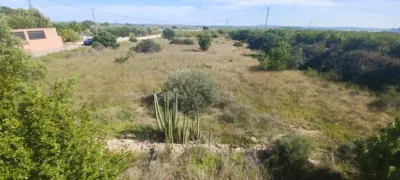 Rustic Finca in El Moco photo 4