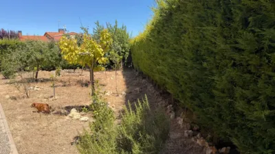 Semi-detached chalet in Magaz de Pisuerga photo 4