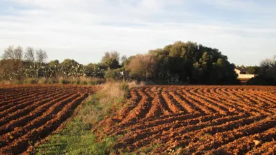 Rustic Finca on Carretera del Muelle photo 2