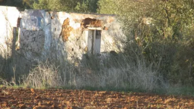 Rustic Finca on Carretera del Muelle photo 5