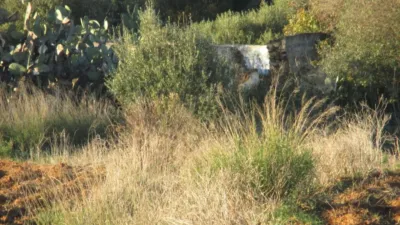 Rustic Finca on Carretera del Muelle photo 6
