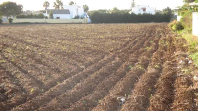 Rustic Finca on Carretera del Muelle photo 8