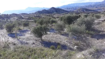 Rustic Finca in La Umbria photo 11