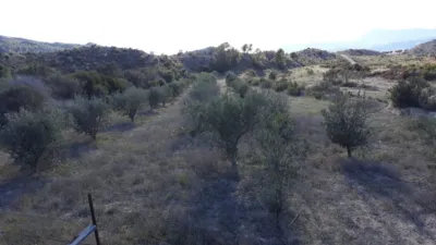 Rustic Finca in La Umbria photo 12