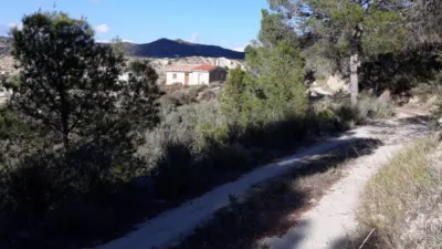 Rustic Finca in La Umbria photo 14
