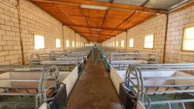 Finca rústica en venta en Cañaveral de Leon, Cañaveral de León de 1.000.000 €