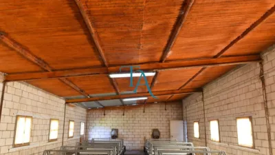 Finca rústica en venta en Cañaveral de Leon, Cañaveral de León de 1.000.000 €