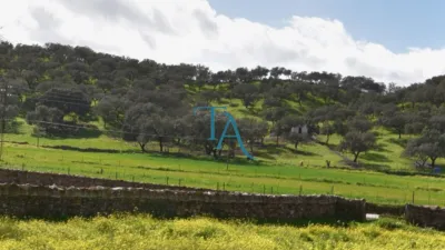 Finca rústica en venta en Cañaveral de Leon, Cañaveral de León de 1.000.000 €