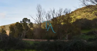 Finca rústica en venta en Cañaveral de Leon, Cañaveral de León de 1.000.000 €