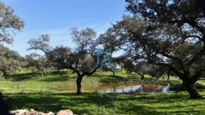 Finca rústica en venta en Cañaveral de Leon, Cañaveral de León de 1.000.000 €