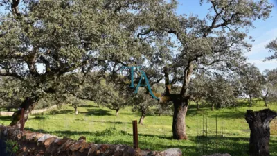 Finca rústica en venta en Cañaveral de Leon, Cañaveral de León de 1.000.000 €