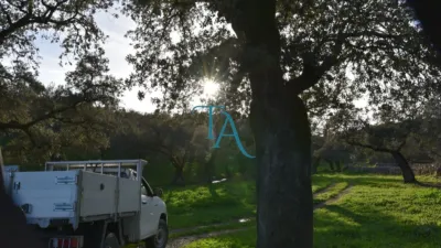 Finca rústica en venta en Cañaveral de Leon, Cañaveral de León de 1.000.000 €