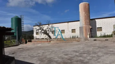 Finca rústica en venta en Cañaveral de Leon, Cañaveral de León de 1.000.000 €